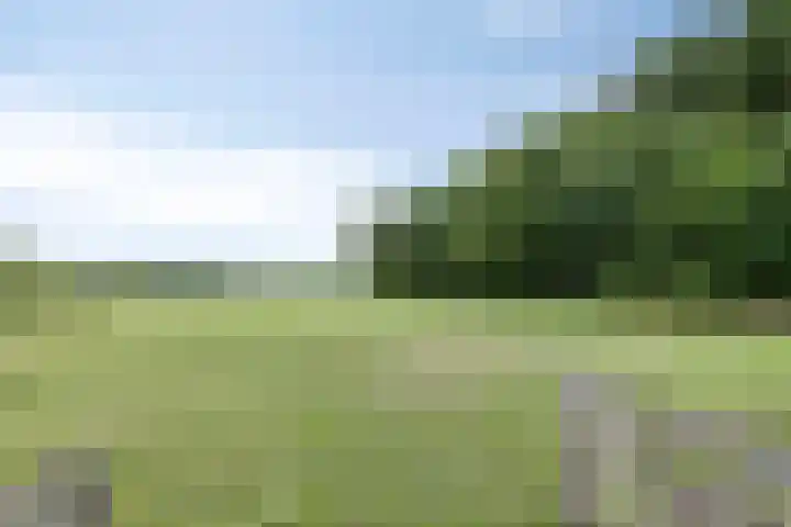 Meulunterseweg 14 Lunteren thumbnail 115