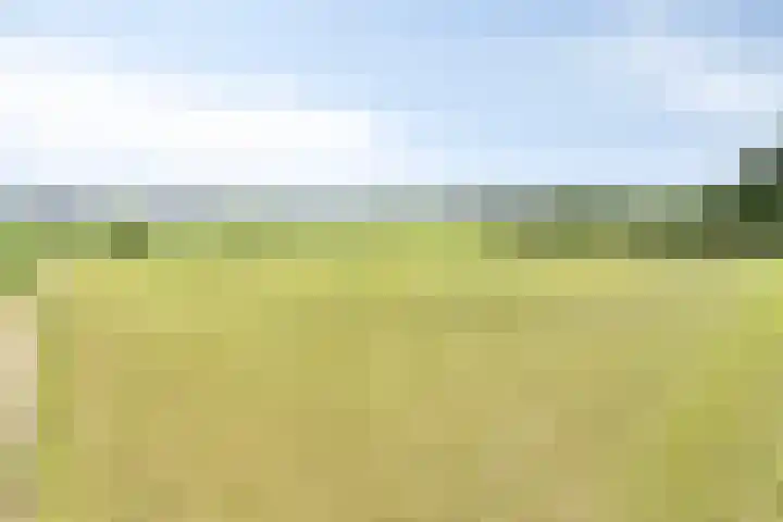 Meulunterseweg 14 Lunteren thumbnail 117