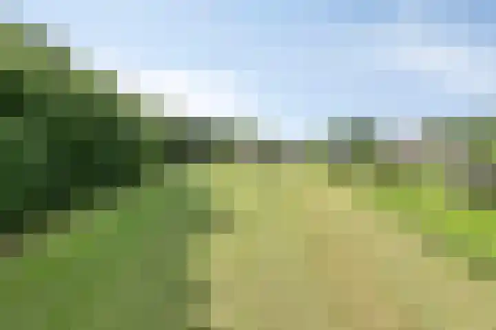 Meulunterseweg 14 Lunteren thumbnail 118