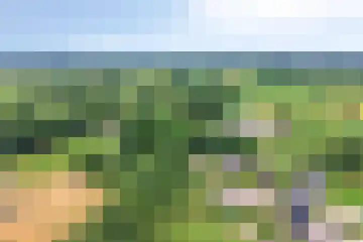 Meulunterseweg 14 Lunteren thumbnail 123
