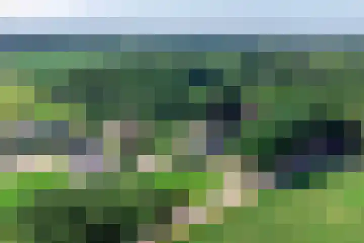 Meulunterseweg 14 Lunteren thumbnail 124