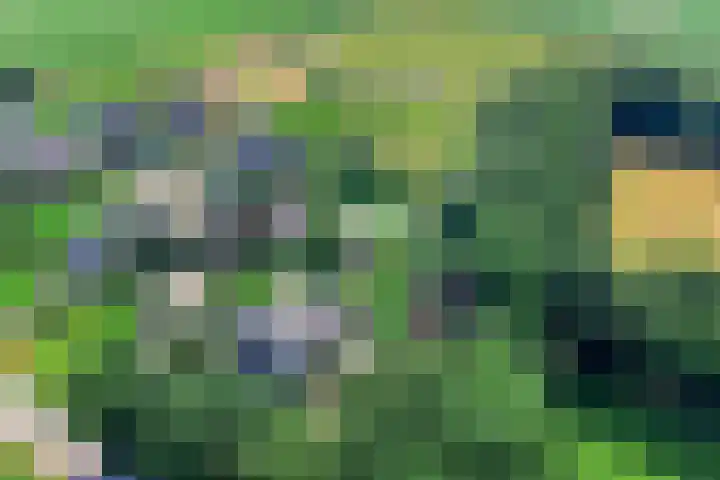 Meulunterseweg 14 Lunteren thumbnail 125