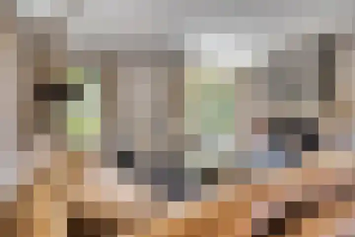 Meulunterseweg 14 Lunteren thumbnail 19