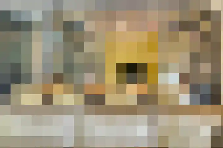 Meulunterseweg 14 Lunteren thumbnail 20