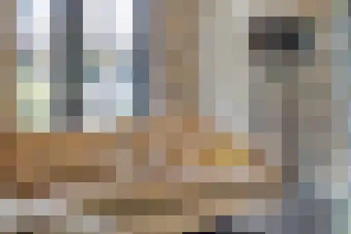 Meulunterseweg 14 Lunteren thumbnail 22
