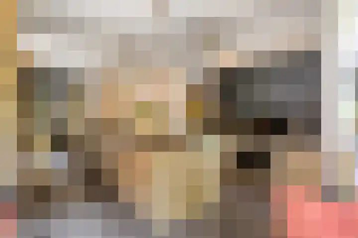 Meulunterseweg 14 Lunteren thumbnail 24
