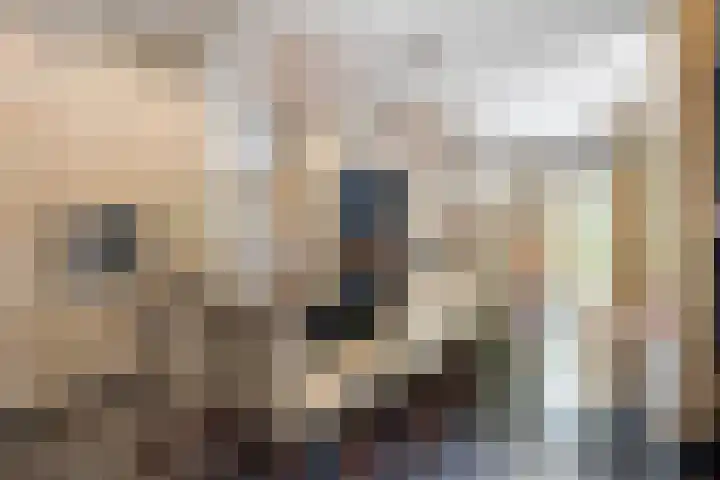 Meulunterseweg 14 Lunteren thumbnail 27