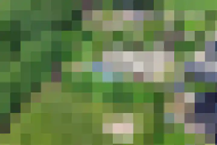 Meulunterseweg 14 Lunteren thumbnail 4