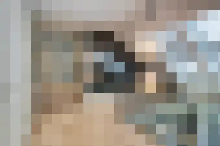 Meulunterseweg 14 Lunteren thumbnail 42