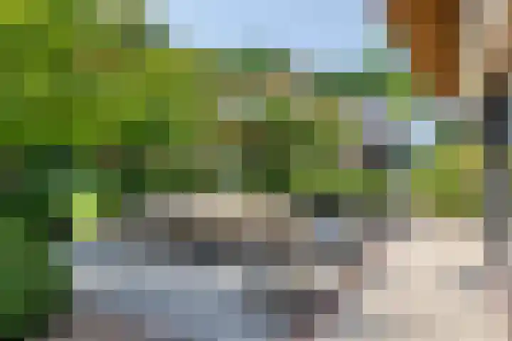Meulunterseweg 14 Lunteren thumbnail 5