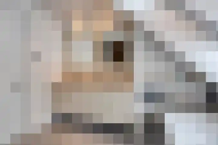 Meulunterseweg 14 Lunteren thumbnail 51