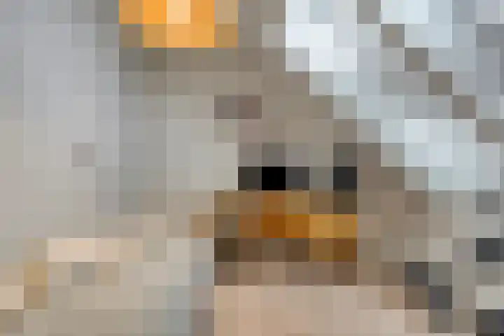 Meulunterseweg 14 Lunteren thumbnail 59