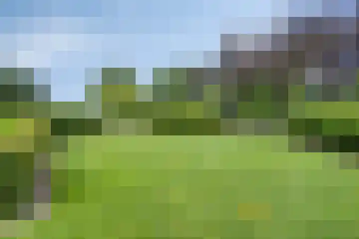 Meulunterseweg 14 Lunteren thumbnail 66