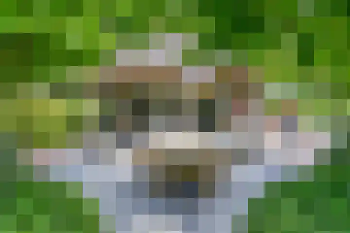 Meulunterseweg 14 Lunteren thumbnail 74