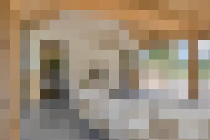 Meulunterseweg 14 Lunteren thumbnail 77