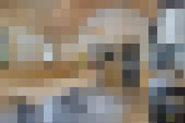 Meulunterseweg 14 Lunteren thumbnail 82