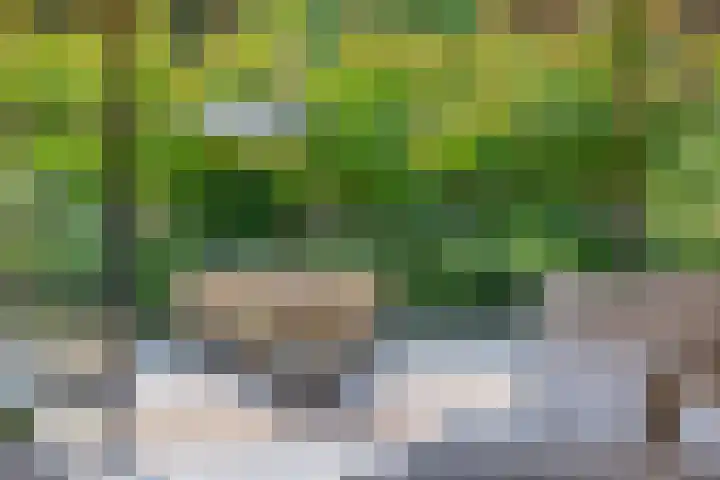 Meulunterseweg 14 Lunteren thumbnail 86