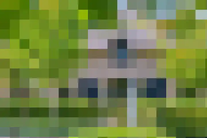 Meulunterseweg 14 Lunteren thumbnail 89