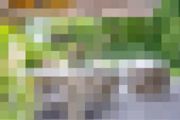 Meulunterseweg 14 Lunteren thumbnail 92