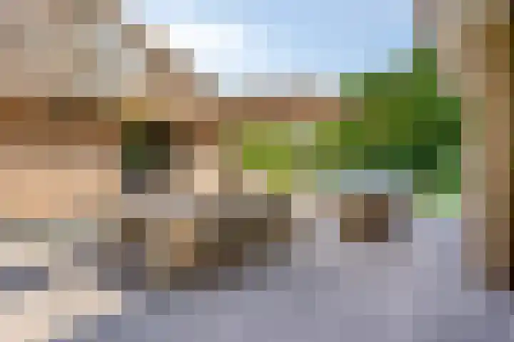 Meulunterseweg 14 Lunteren thumbnail 93