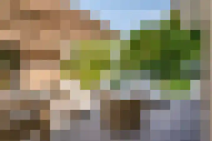 Meulunterseweg 14 Lunteren thumbnail 95