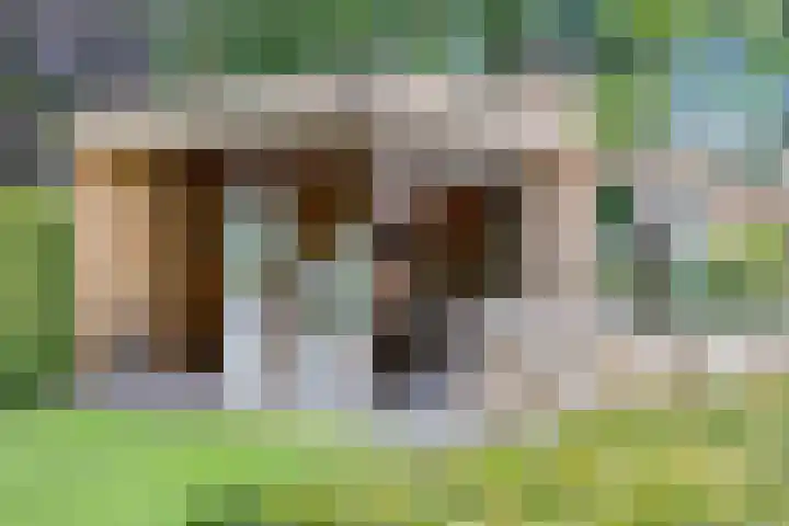 Meulunterseweg 14 Lunteren thumbnail 97