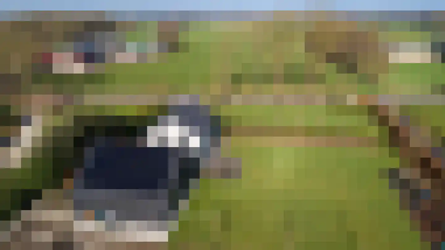 Meulunterseweg 16 Lunteren thumbnail 65