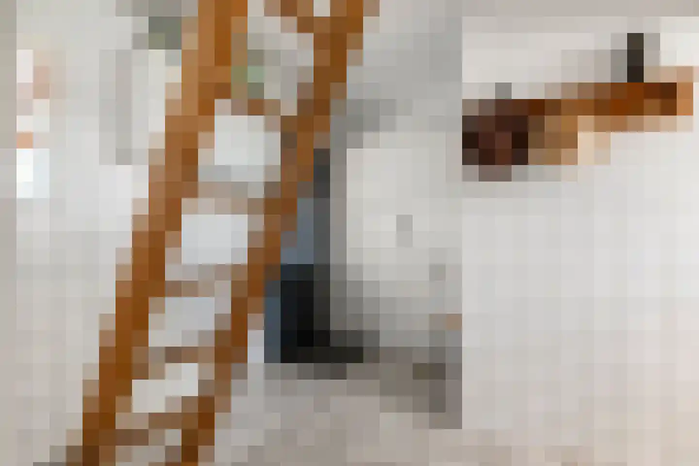 Meulunterseweg 43 Lunteren thumbnail 22