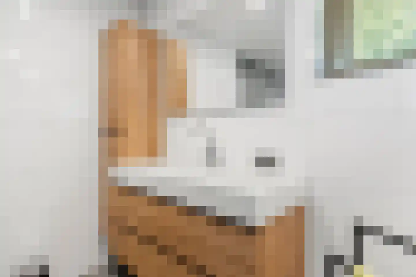 Meulunterseweg 43 Lunteren thumbnail 24