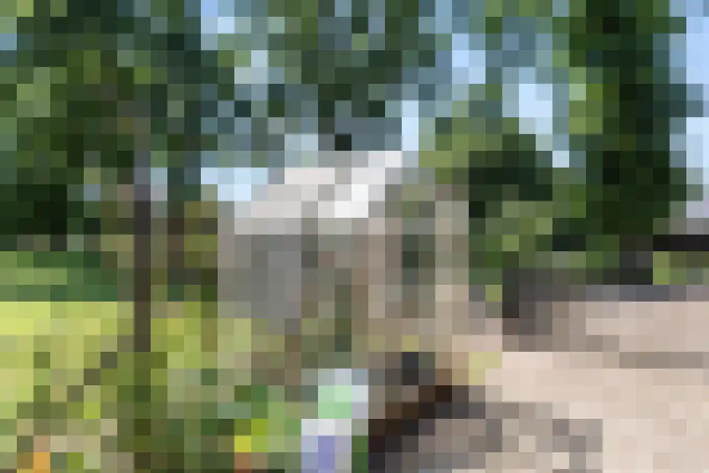 Meulunterseweg 43 Lunteren thumbnail 37