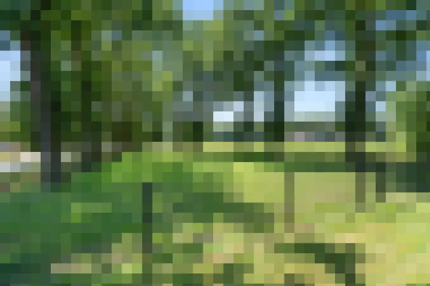 Meulunterseweg 43 Lunteren thumbnail 40