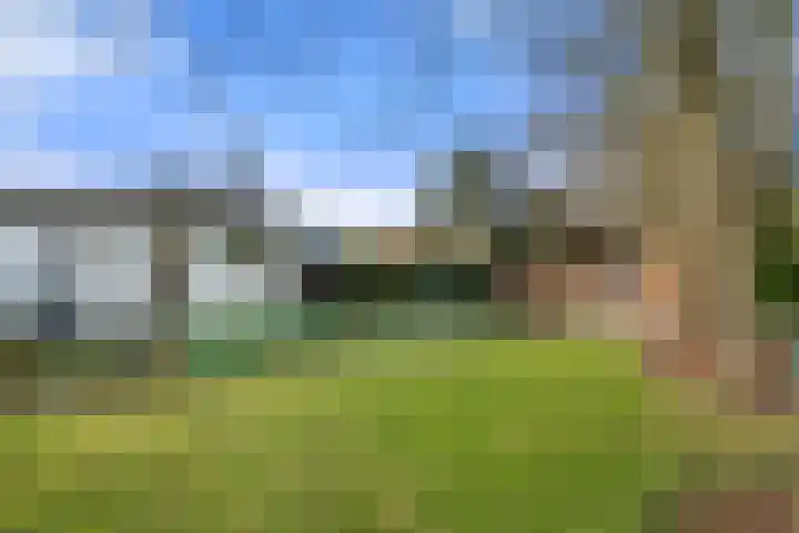 Meulunterseweg 60 17 Lunteren thumbnail 4