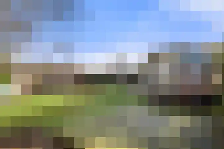 Meulunterseweg 60 17 Lunteren thumbnail 5