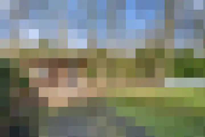 Meulunterseweg 60 17 Lunteren thumbnail 7