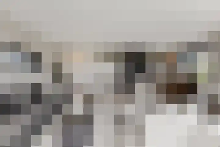 Meulunterseweg 61 B Lunteren thumbnail 17
