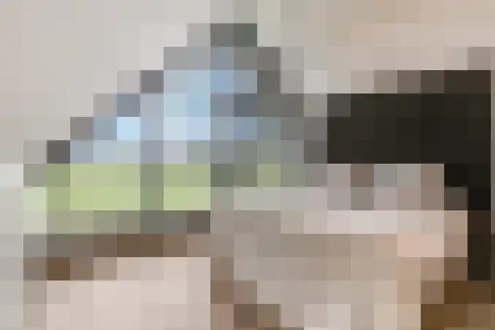 Meulunterseweg 61 B Lunteren thumbnail 30