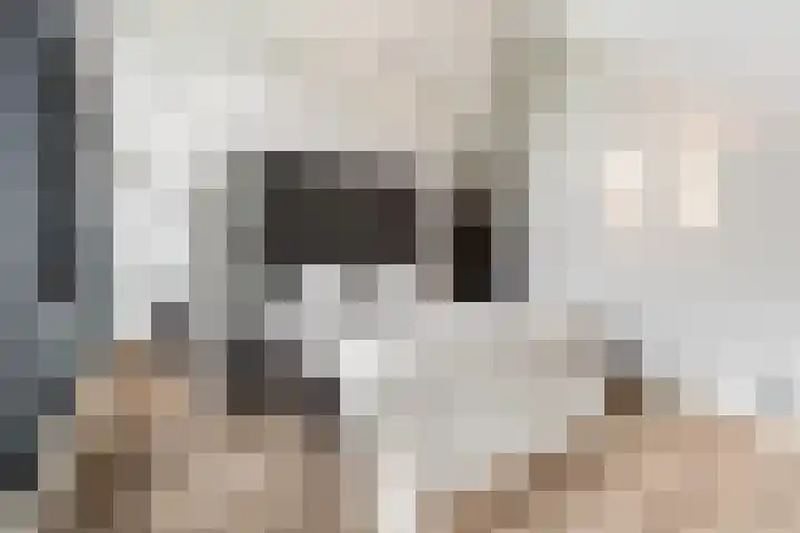 Meulunterseweg 61 B Lunteren thumbnail 32
