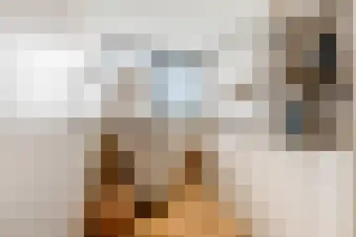 Meulunterseweg 61 B Lunteren thumbnail 37