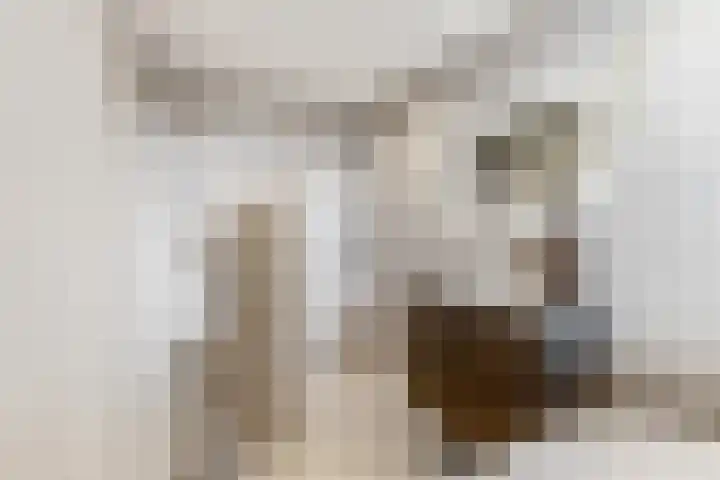 Meulunterseweg 61 B Lunteren thumbnail 40