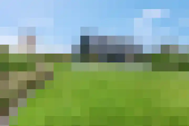 Meulunterseweg 61 B Lunteren thumbnail 44