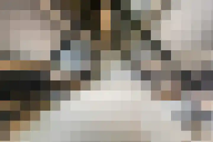 Meulunterseweg 61 B Lunteren thumbnail 49