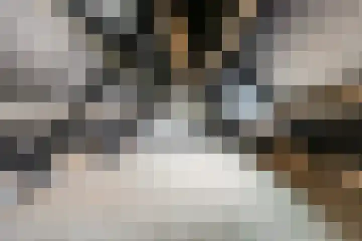 Meulunterseweg 61 B Lunteren thumbnail 50