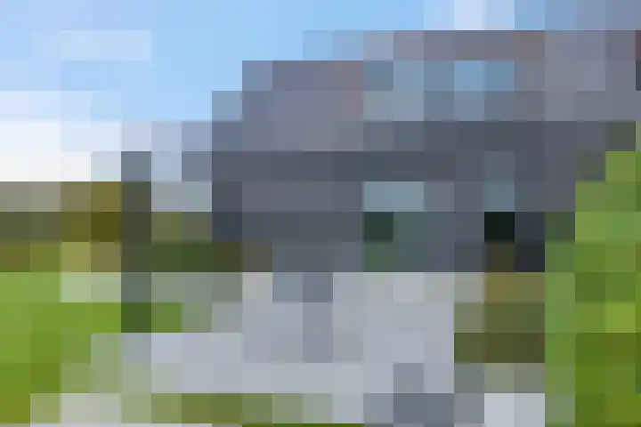 Meulunterseweg 61 B Lunteren thumbnail 55
