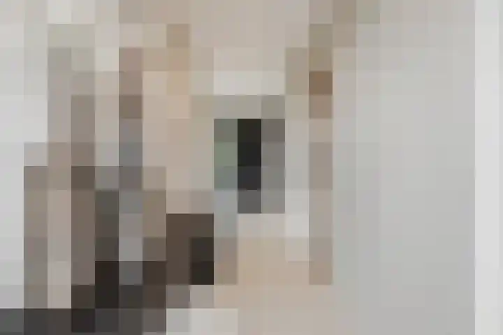 Meulunterseweg 61 B Lunteren thumbnail 9