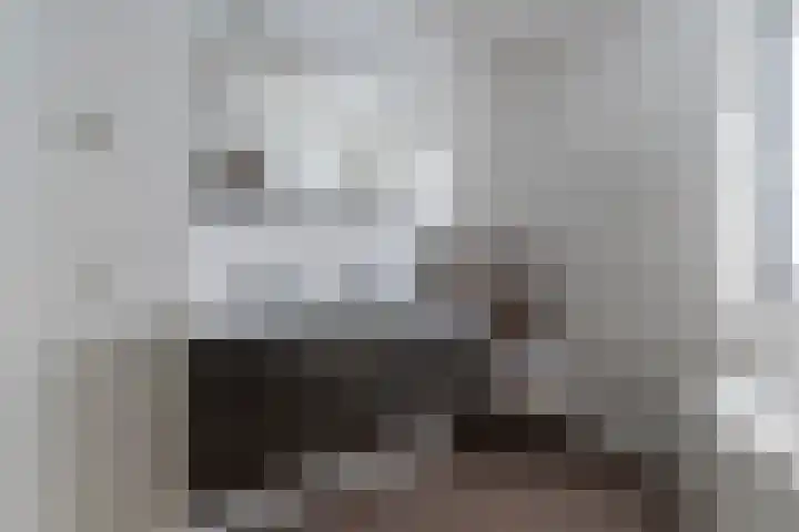 Meurshof 34 Veenendaal thumbnail 16