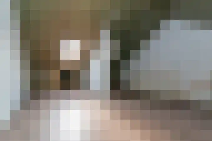 Meurshof 34 Veenendaal thumbnail 18