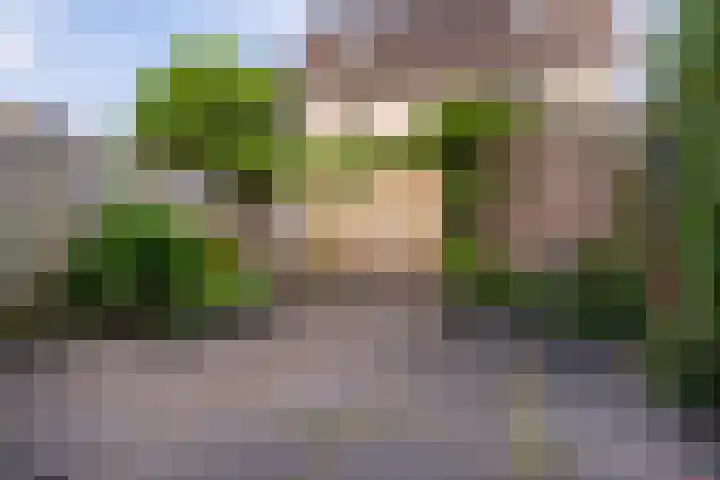 Meurshof 34 Veenendaal thumbnail 21
