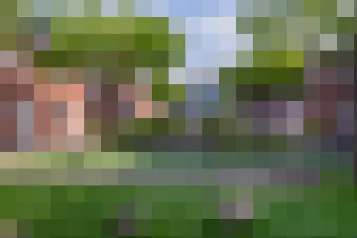 Meurshof 34 Veenendaal thumbnail 24