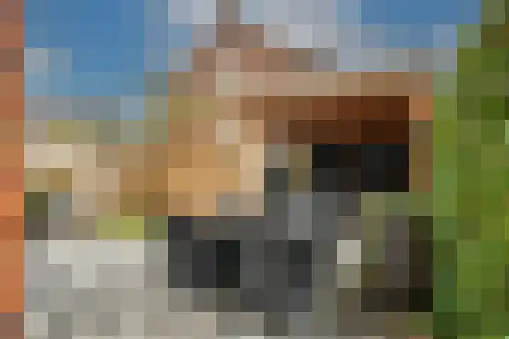 Meurshof 7 Veenendaal thumbnail 26