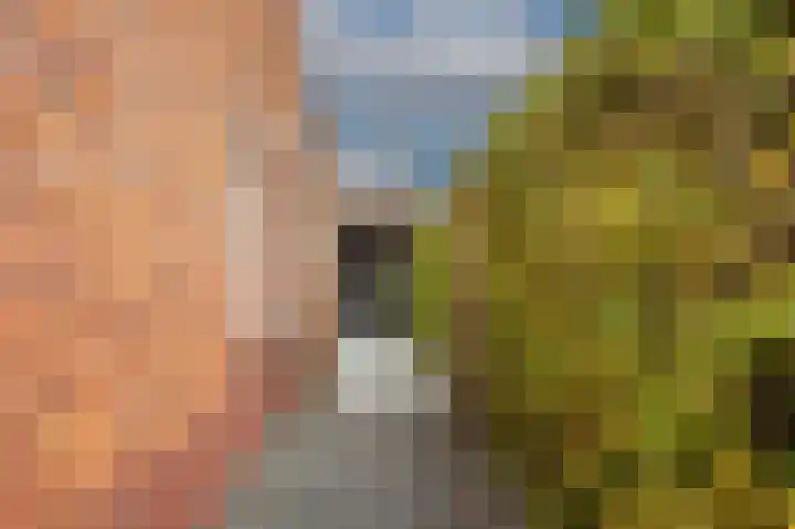 Meurshof 7 Veenendaal thumbnail 33